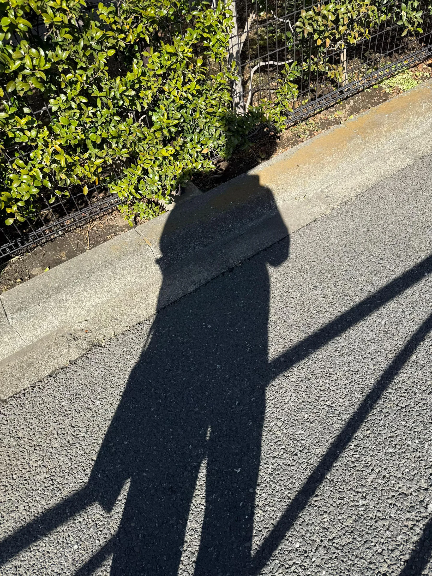 晴れた路上に伸びたコーディネート姿の影