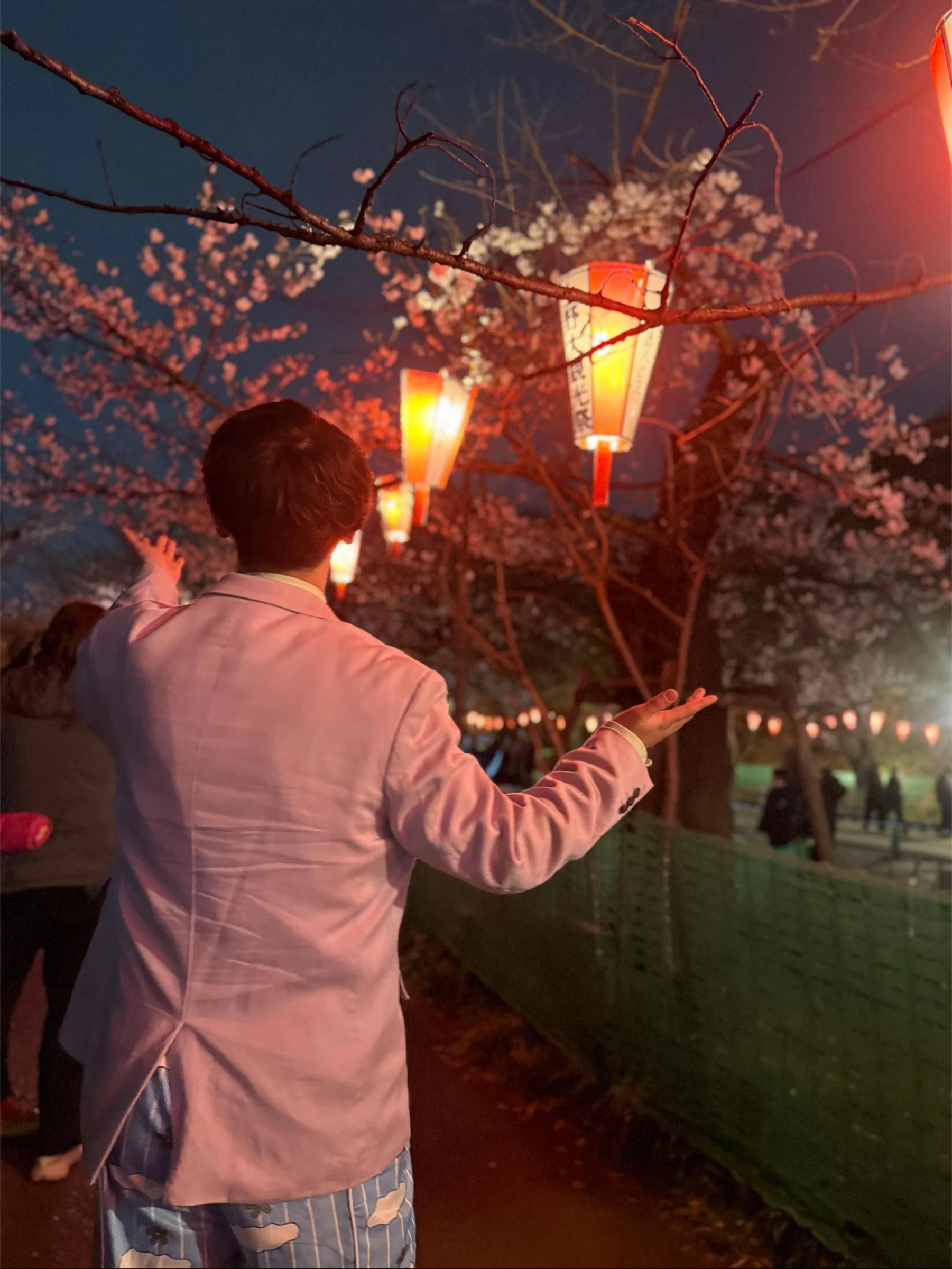 夜桜と提灯の下で、ピンクのジャケットを着て後ろ姿を見せる色相中毒者