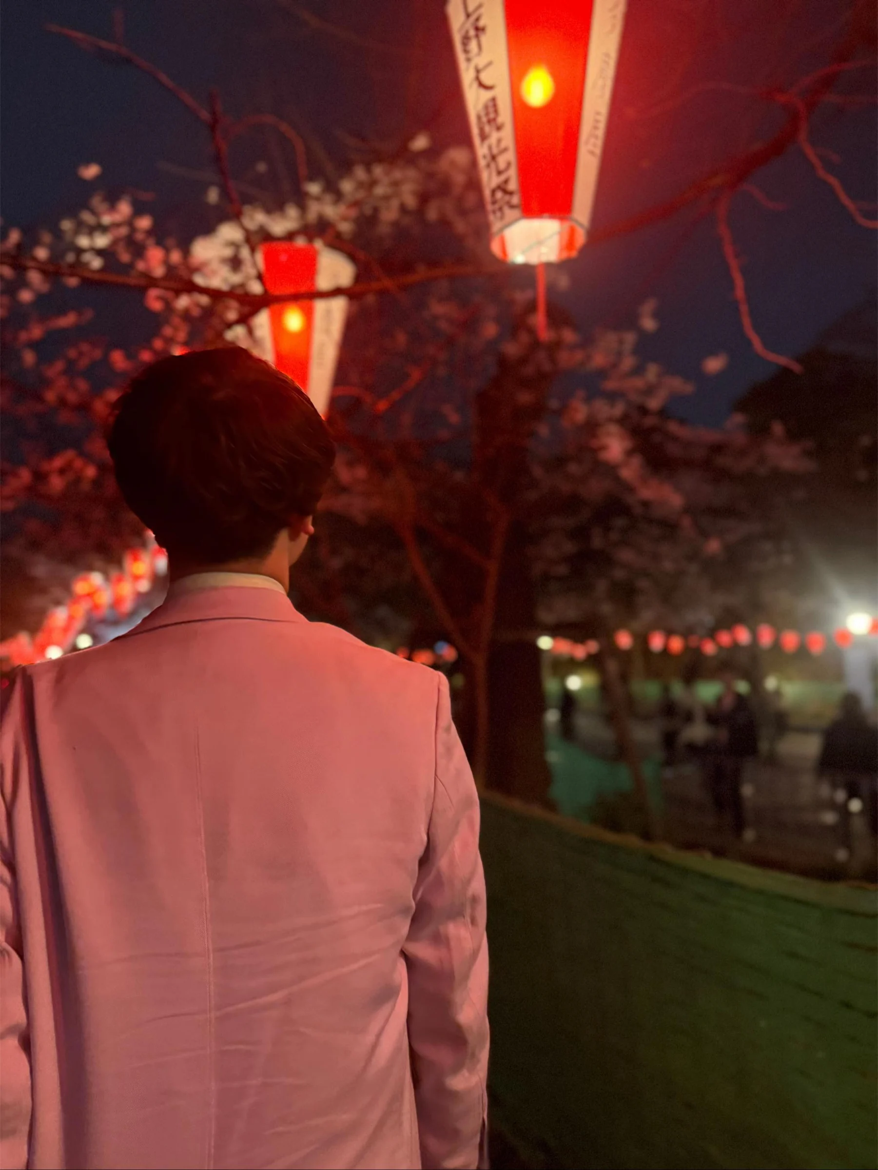 夜の提灯と桜を背景に、ピンクのジャケットの背面を大きく写した写真